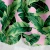 Kwiaty_IMG_0143-kopia1.webp