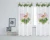Havana-aranz.webp