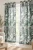 jungle_aranz.webp