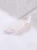 31352.webp