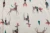 JZ1A2646_new_Easy-Resize.com.webp