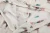JZ1A2640_new_Easy-Resize.com.webp