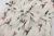 JZ1A2645_new_Easy-Resize.com.webp