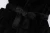 JZ1A2669_new_Easy-Resize.com.webp